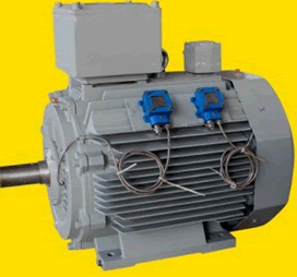 YB3E80～355系列超高效率隔爆型三相異步電動機