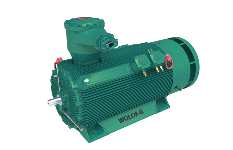 緊湊型隔爆變頻電機(jī)